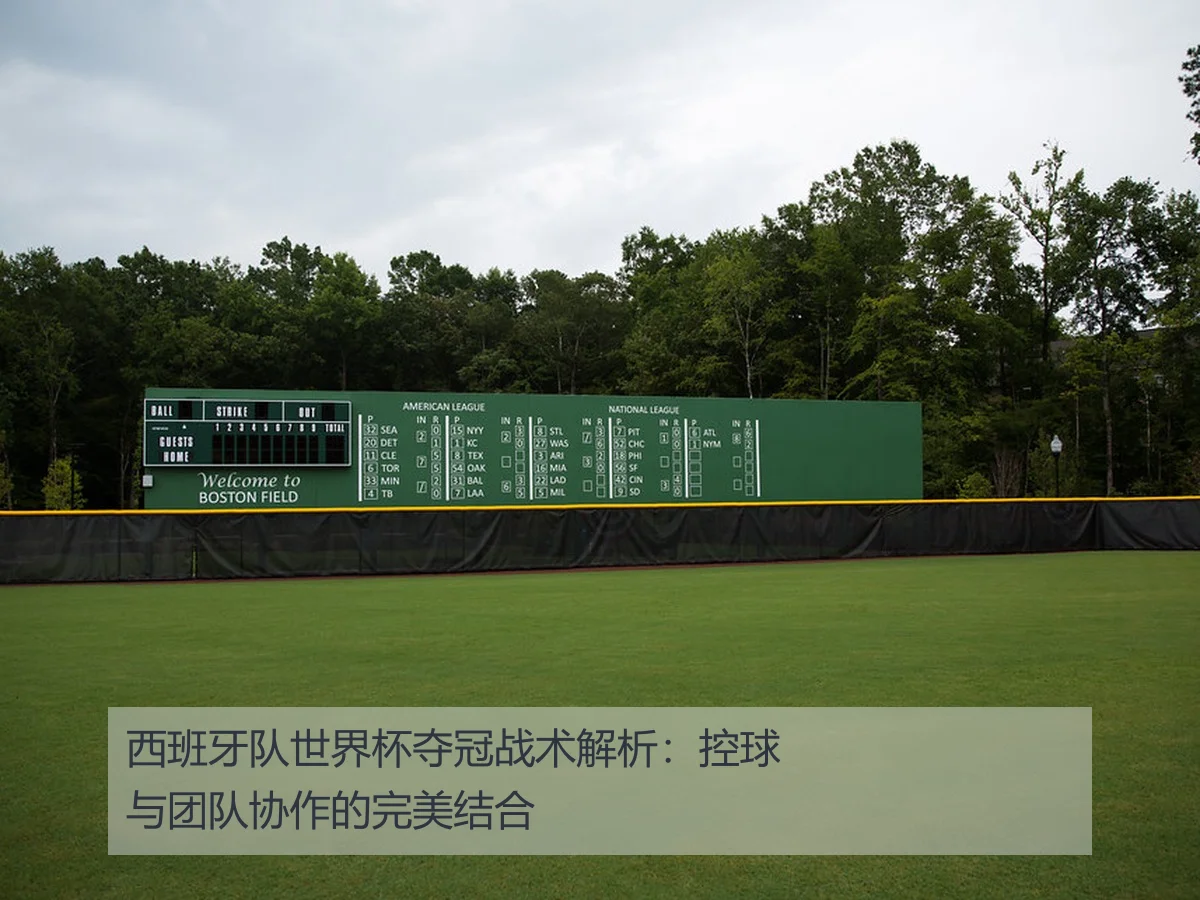 西班牙队世界杯夺冠战术解析：控球与团队协作的完美结合